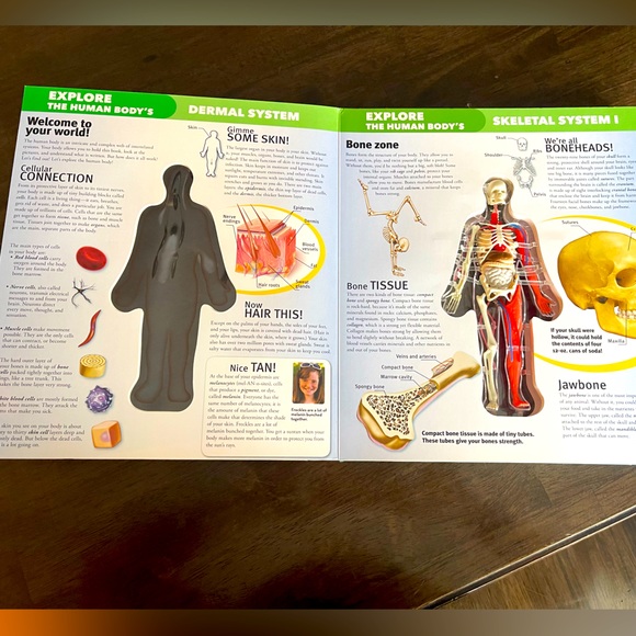 luann colombo Other - Explore the Human Body by Luann Colombo